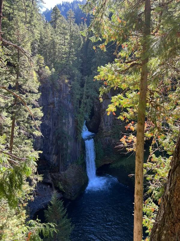 Toketee Falls