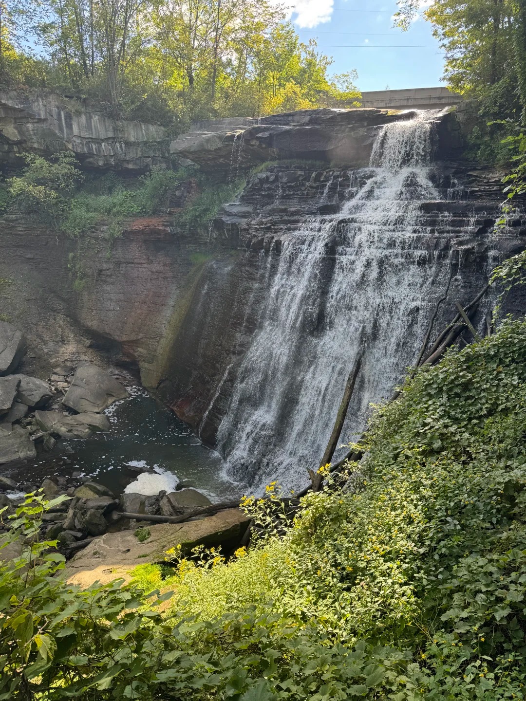 Brandywine Falls