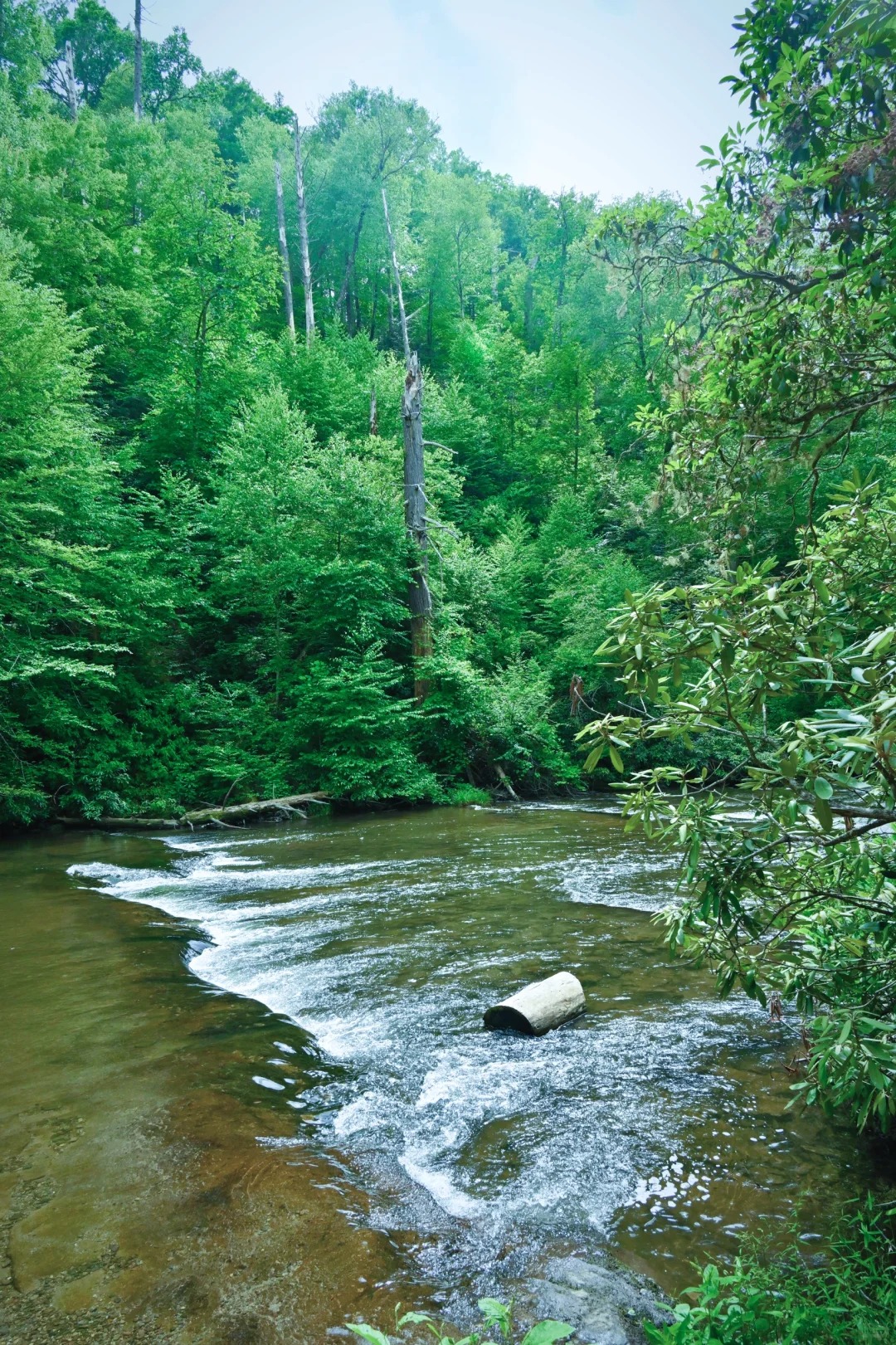 Abrams Falls