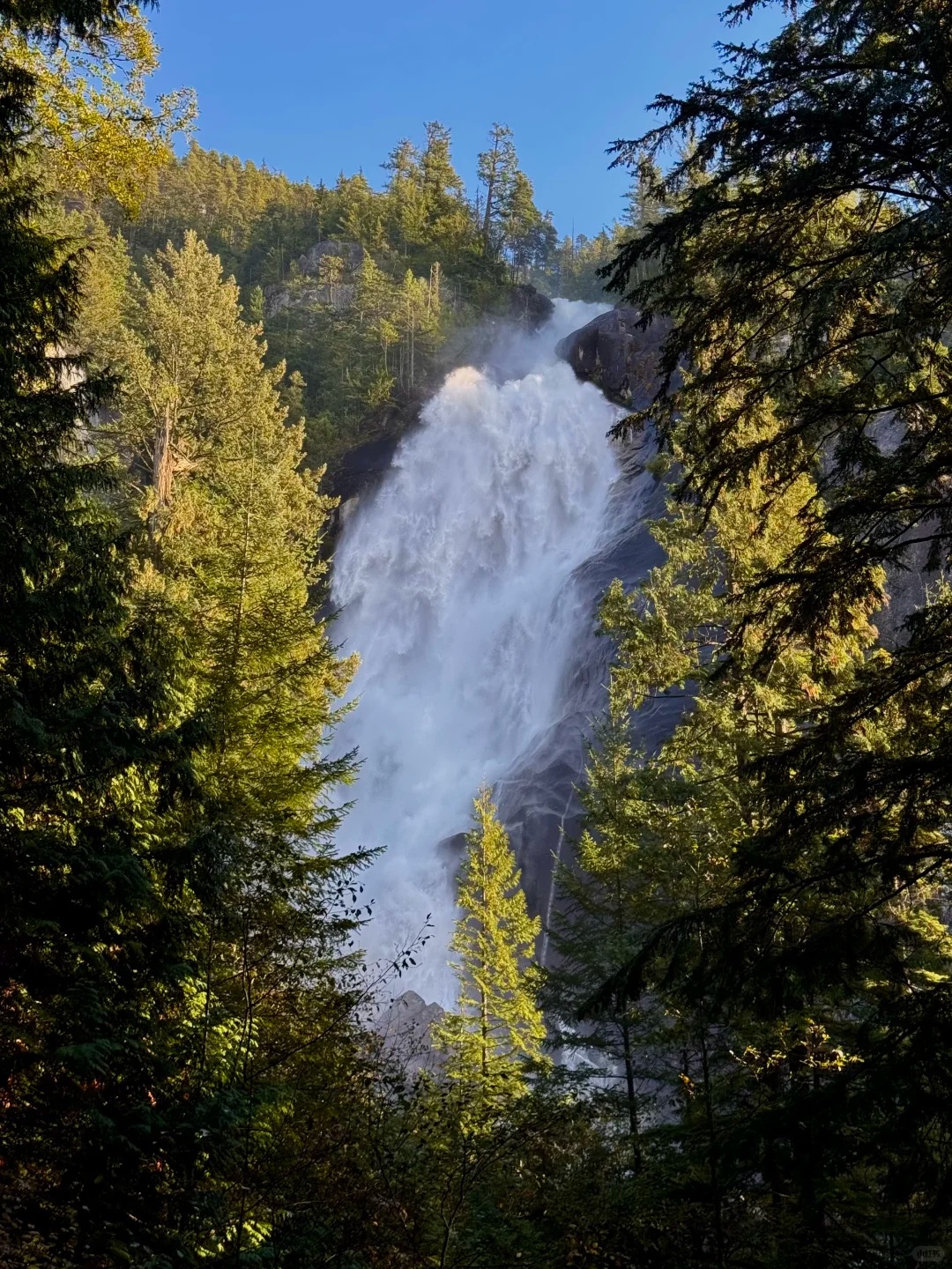 Shannon Falls