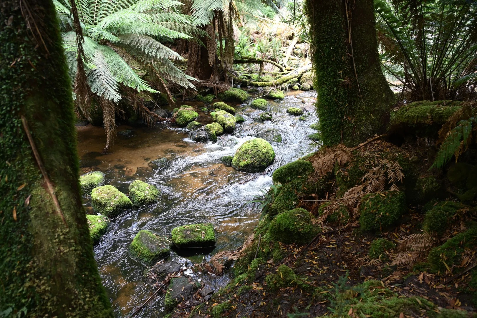St Columba Falls