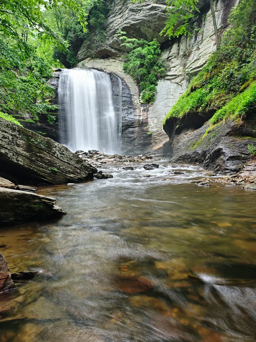 Looking Glass Falls