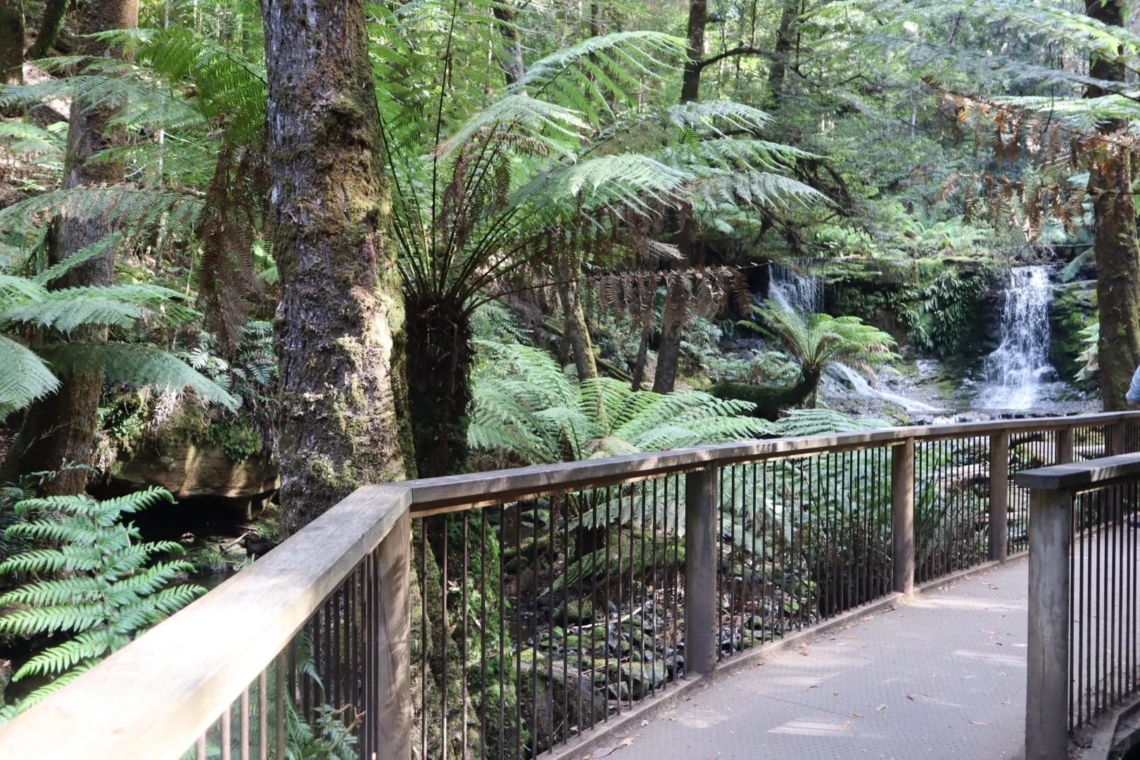 Russell Falls