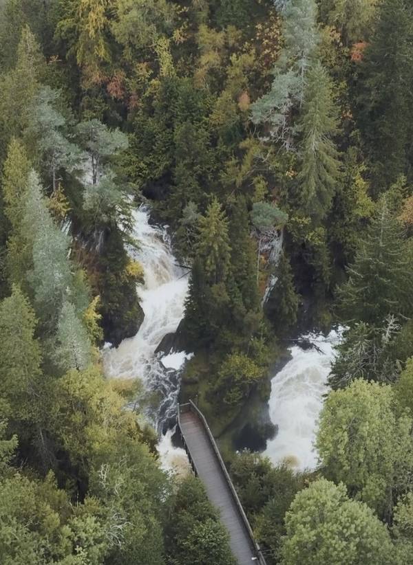 Plodda Falls