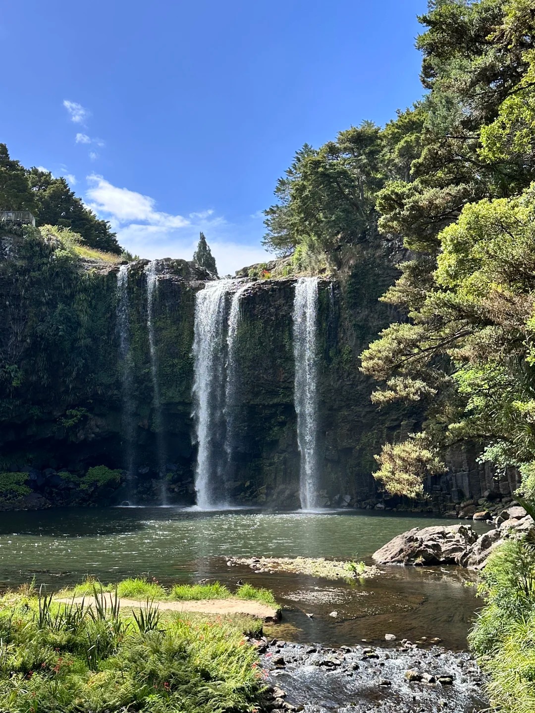Whangarei Falls