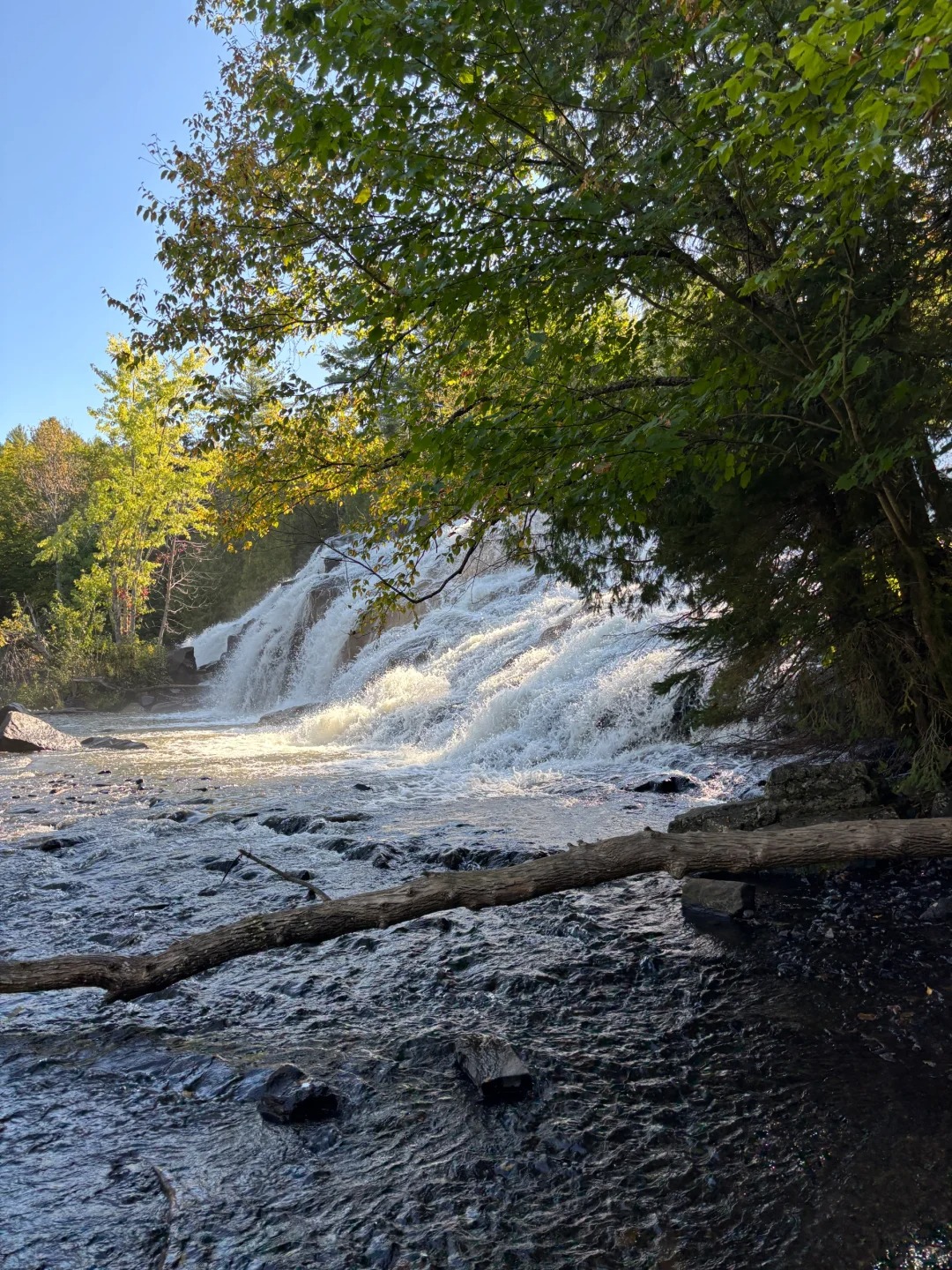 Bond Falls
