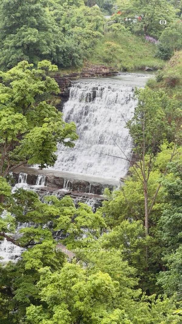Albion Falls