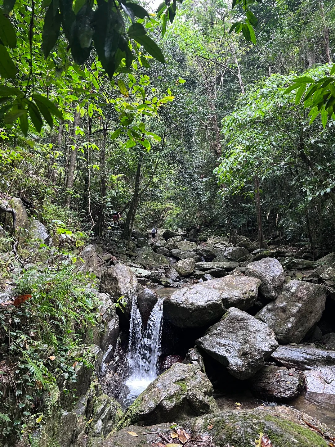 Crystal Cascades