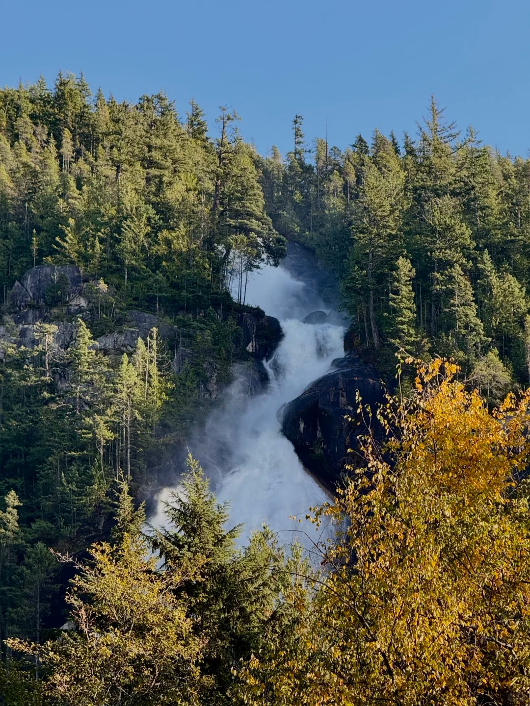 Shannon Falls
