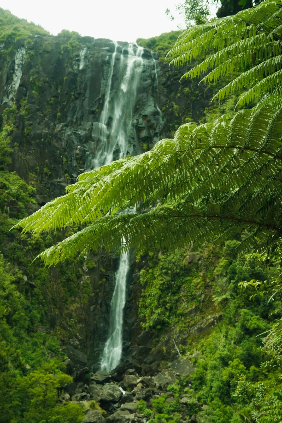 Wairere Falls