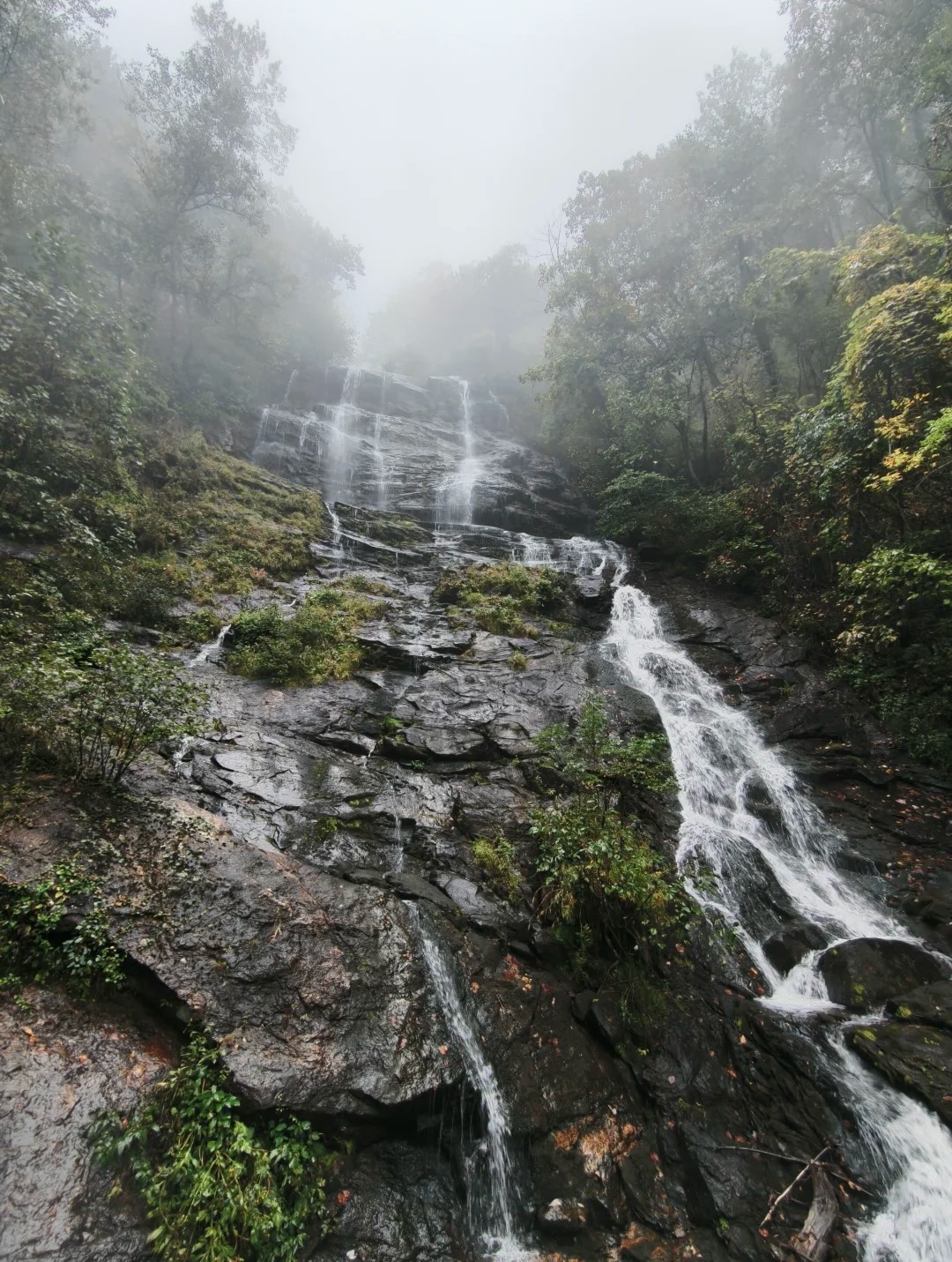 Amicalola Falls
